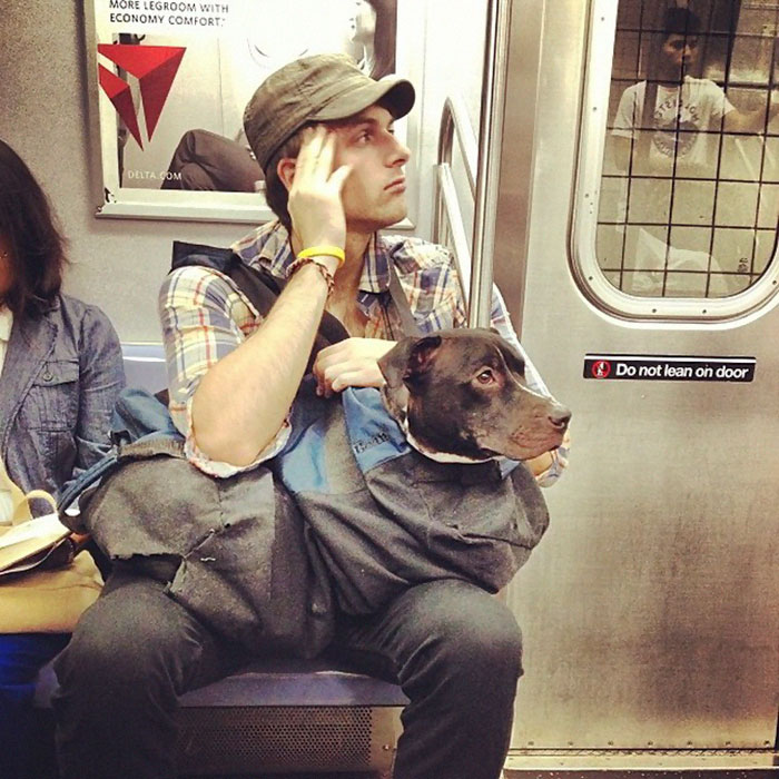 This-Happens-When-Dogs-Aren’t-Allowed-On-The-New-York-Subway-Unless-They’re-In-A-Carrier-3