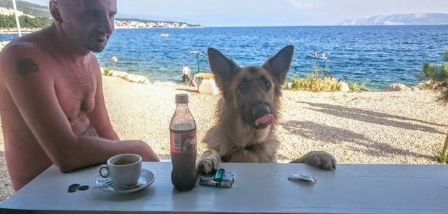 first-beach-bar-for-dogs-croatia-better-serve-dogs-3