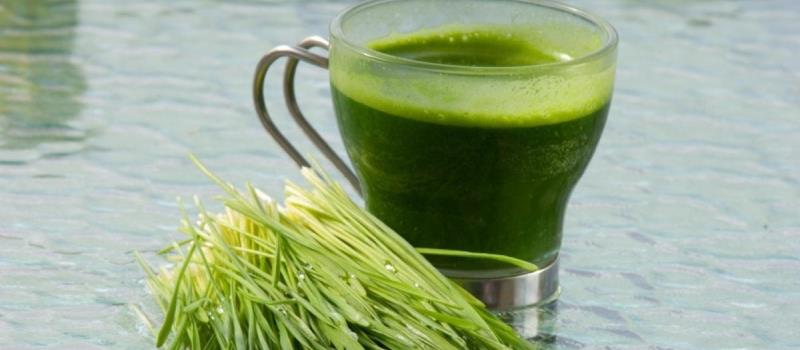 Liquid Chlorophyll- Only One Glass a Day Of This Miraculous Drink Will