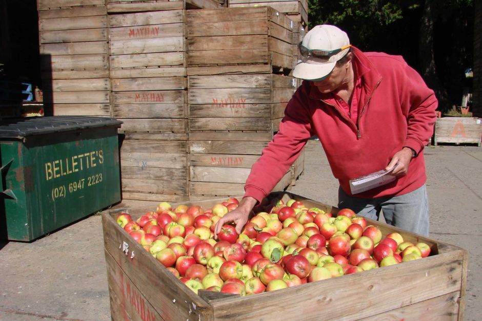 8 Foods Made in China You Should Avoid They are Filled with Cancer