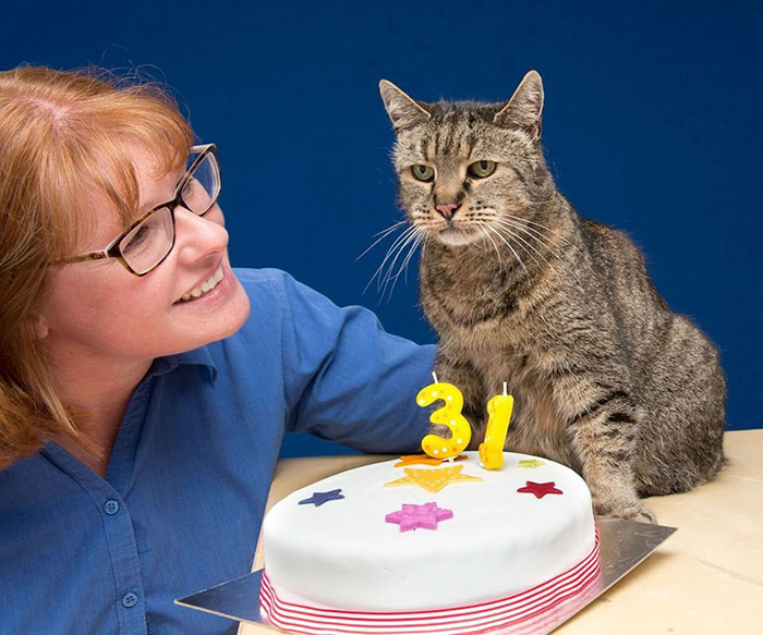 the-worlds-oldest-cat-has-just-celebrated-his-31st-birthday-1