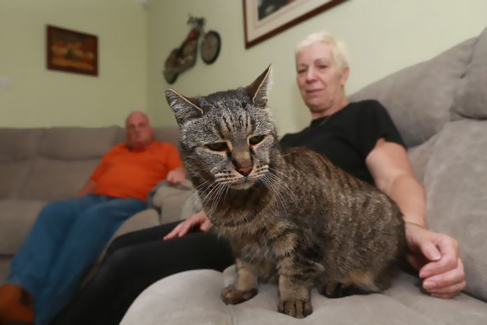 the-worlds-oldest-cat-has-just-celebrated-his-31st-birthday-6
