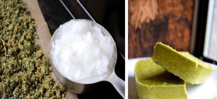 cannabis-coconut-oil-remedy-fights-nausea-pain-and-seizures-1