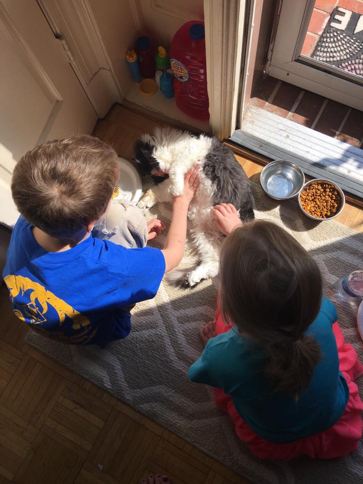 no-face-cat-survived-terrible-accident-now-full-life-8