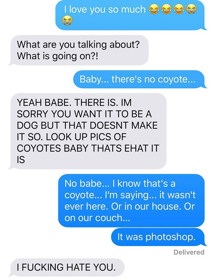 a-woman-texted-her-husband-she-brought-home-a-stray-puppy-it-turned-out-it-was-a-coyote-12