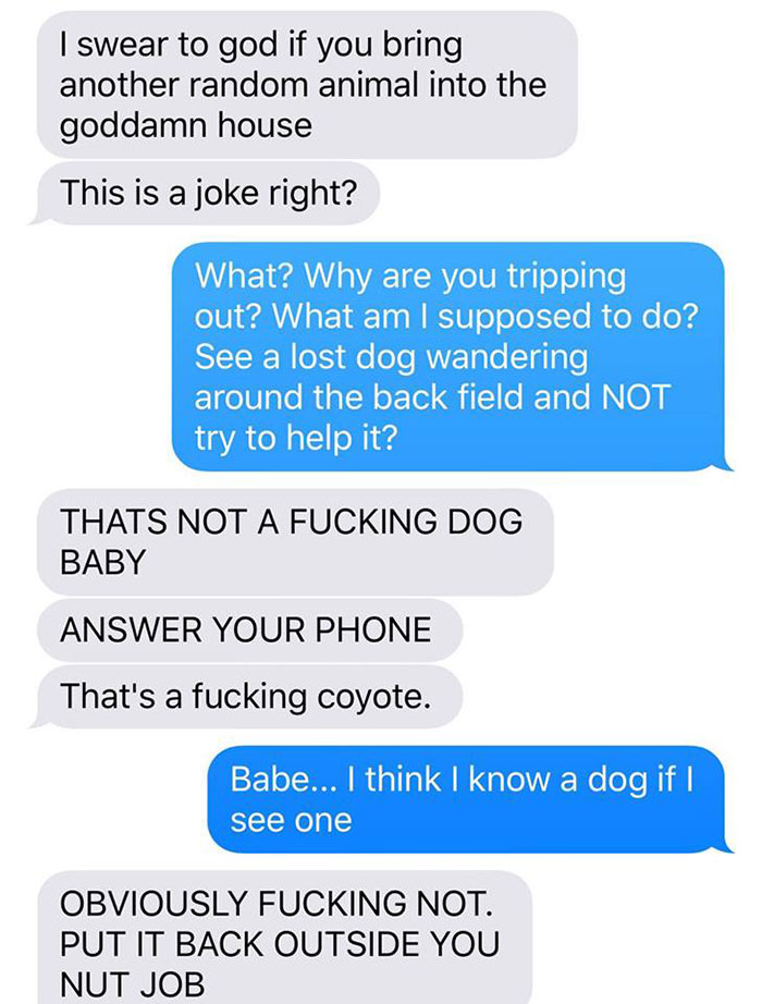 a-woman-texted-her-husband-she-brought-home-a-stray-puppy-it-turned-out-it-was-a-coyote-2