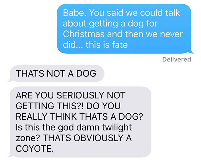 a-woman-texted-her-husband-she-brought-home-a-stray-puppy-it-turned-out-it-was-a-coyote-5