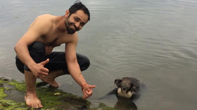 koala-almost-drowned-got-rescued-just-time-2