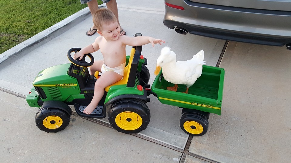 a-little-boy-and-his-loving-duck-are-best-friend-7