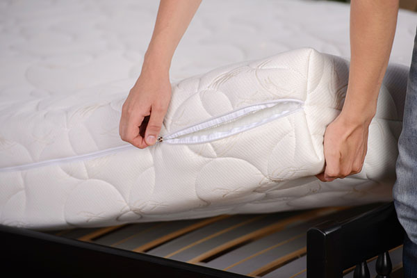 spraying mattress for bed bugs