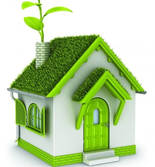 Why Opting for Green Heat is a Good Idea Women Daily Magazine