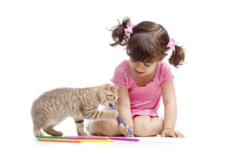 What Is The Best Small Animal For A Child? Women Daily Magazine
