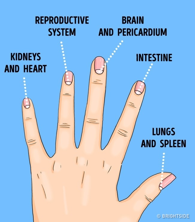 The Moons on Your Nails Can Be an Indicator for These 10 Health Problems Women Daily Magazine