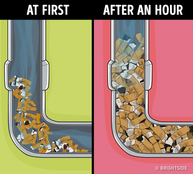 8 Things You Shouldn’t Dump Down the Drain Women Daily Magazine