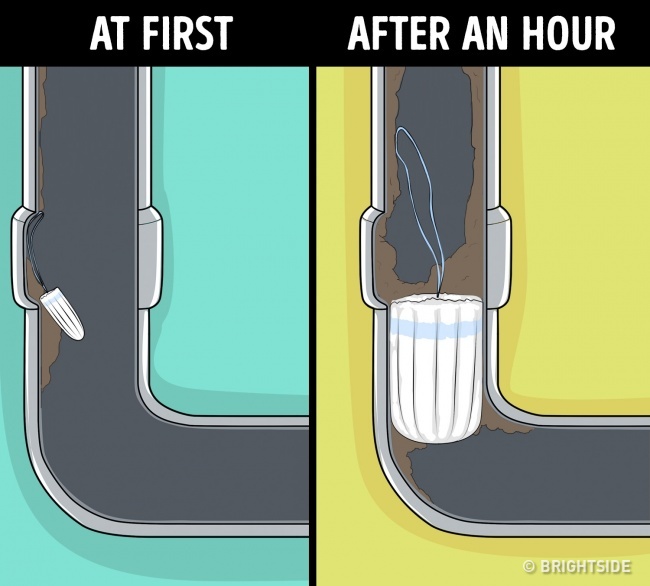 8thingsyoushouldntdumpdownthedrain7 Women Daily Magazine