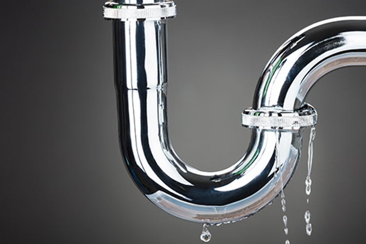 Ways You’re Wasting Water (Without Even Realizing It) Women Daily