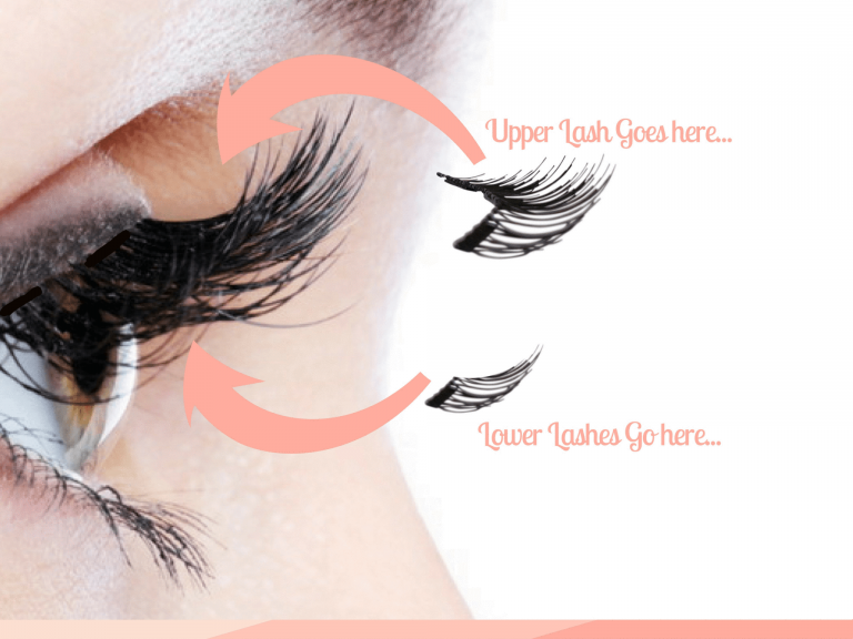 Are Lashes Worth All The Craze? Women Daily Magazine