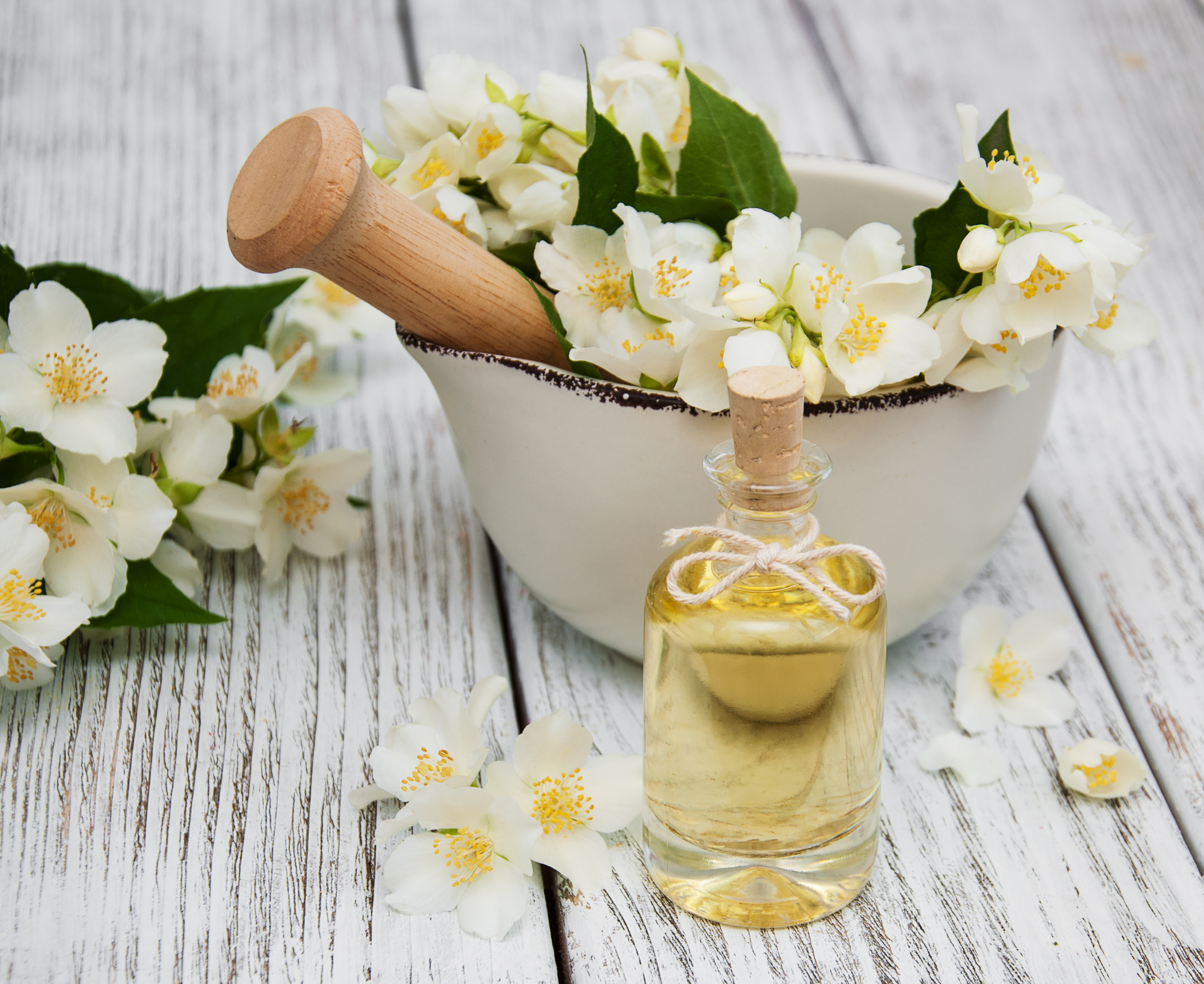 Jasmine Can Help You Reduce Anxiety, Panic Attacks and Depression