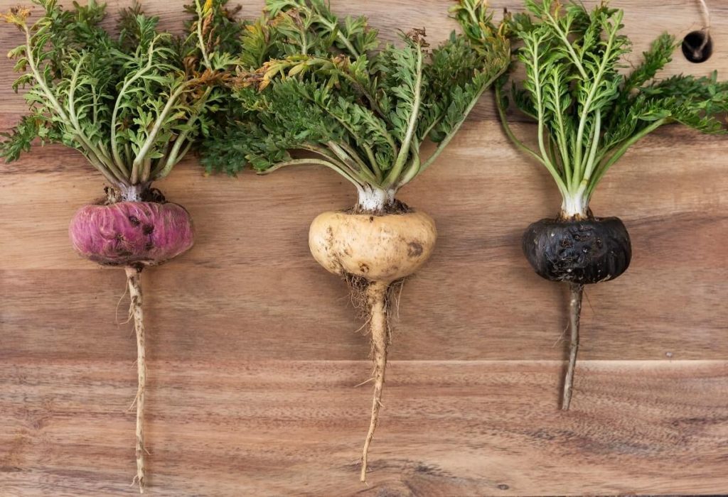 Cure erectile dysfunction with maca