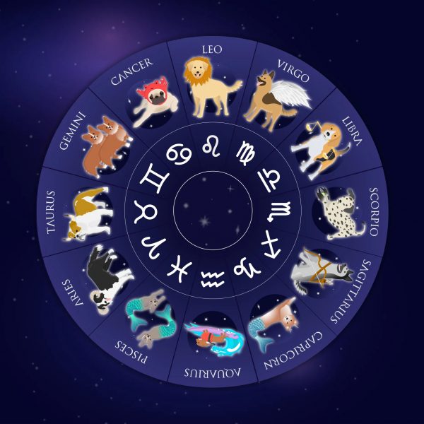 What’s Your Dog’s Astrology Sign and What That Says About Them Women