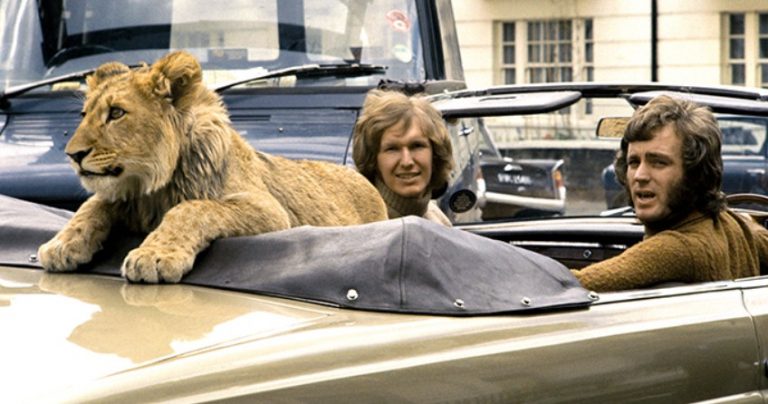 The Extraordinary Bond: The Unforgettable Story of Christian the Lion ...