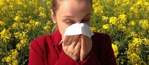 hayfever
