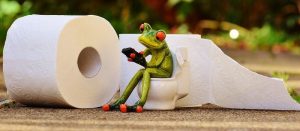 toilet paper