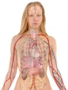 why the mouth is the dirtiest part of the body