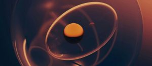 embryo donor