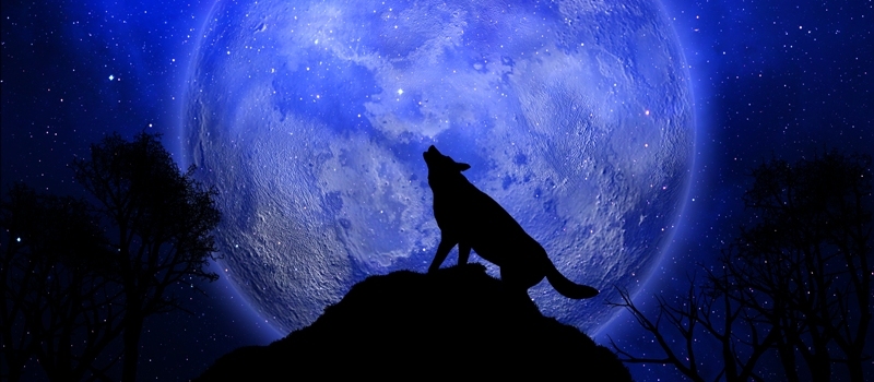 Wolf Moon