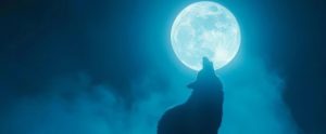 Wolf Moon
