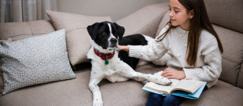 dog language